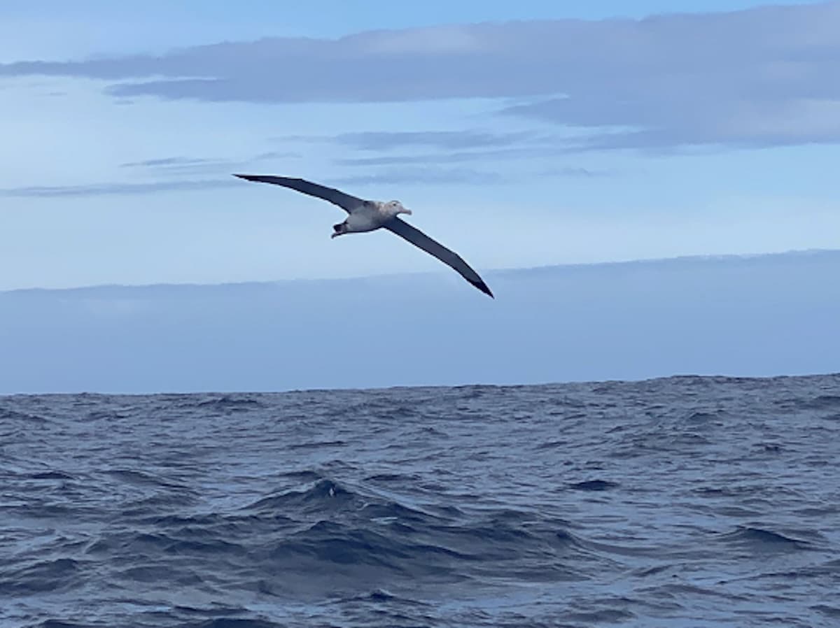 D’un Vendée Globe à l’autre : Hymne au monde, Hymne à la joie