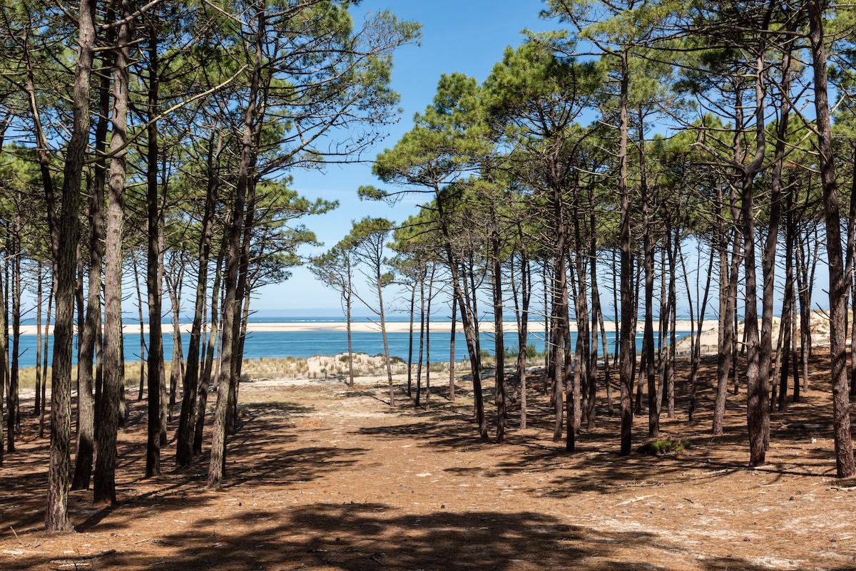 Tourisme : que faire dans les Landes ?
