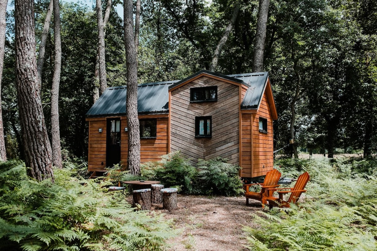GreenGo : la success story française du tourisme écoresponsable
