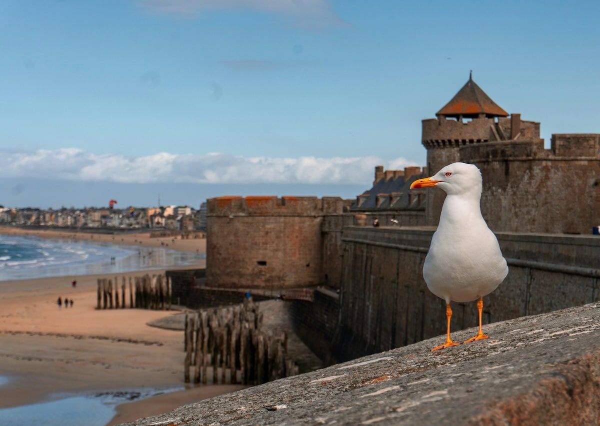 Saint-Malo en famille : que faire avec les enfants pendant les vacances ?