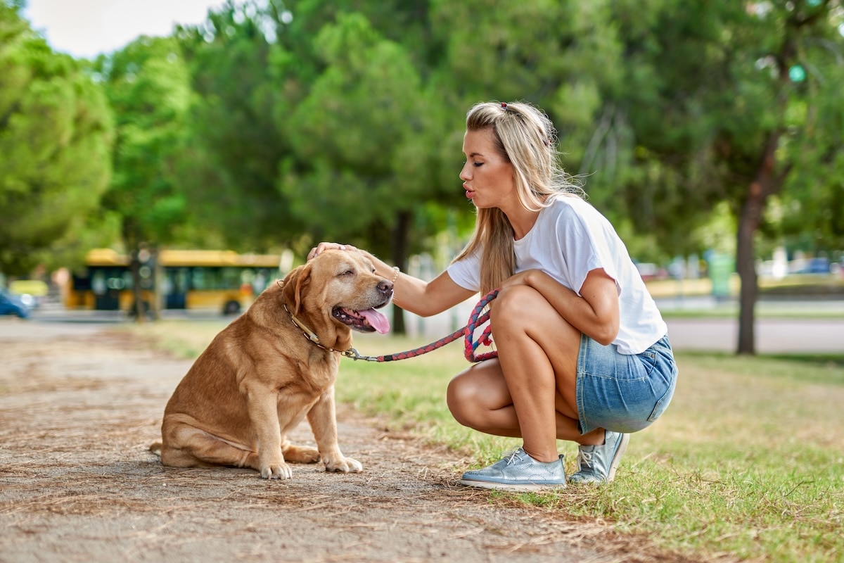 Quel est le prix d’un éducateur canin ? Guide complet pour bien éduquer son chien