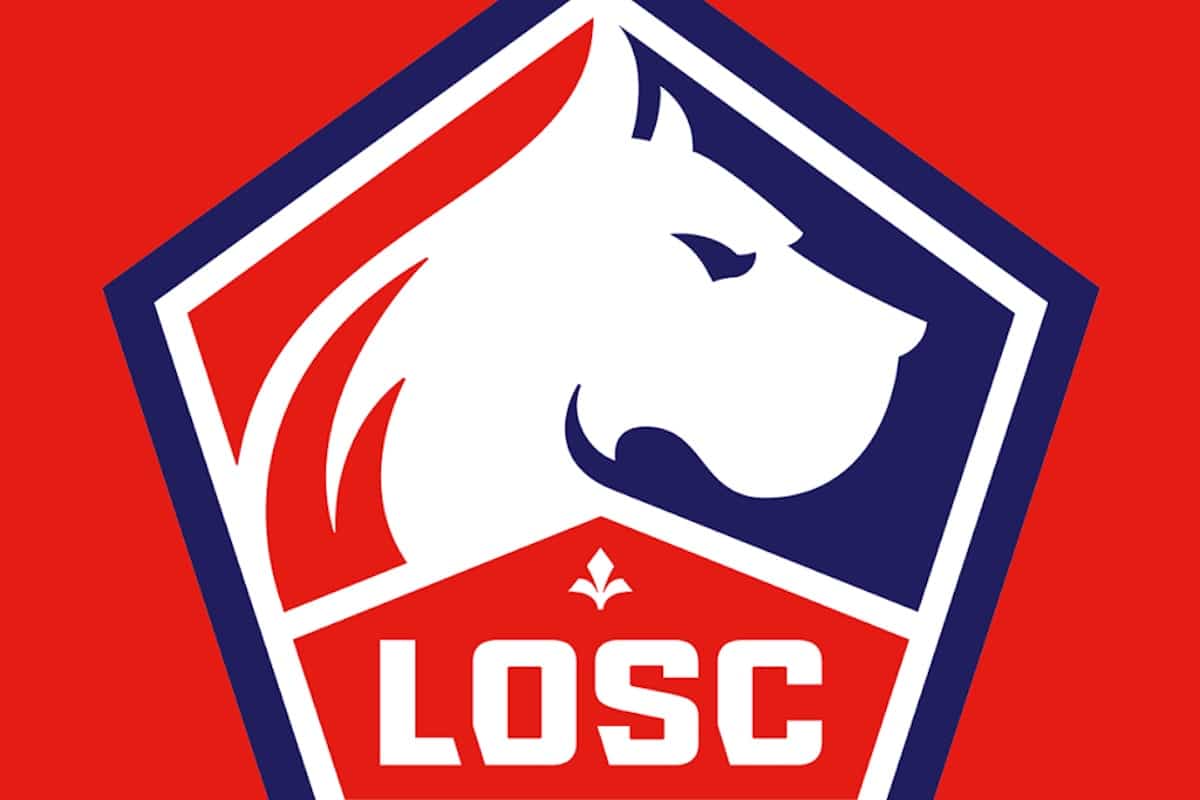Ligue 1 : le LOSC va être lourdement sanctionné