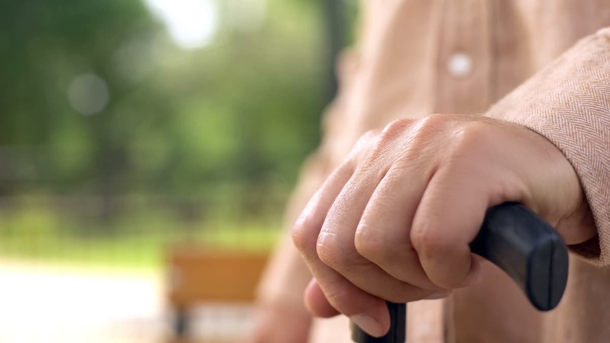 Réforme des retraites : pourquoi la suspension change le calendrier politique et budgétaire