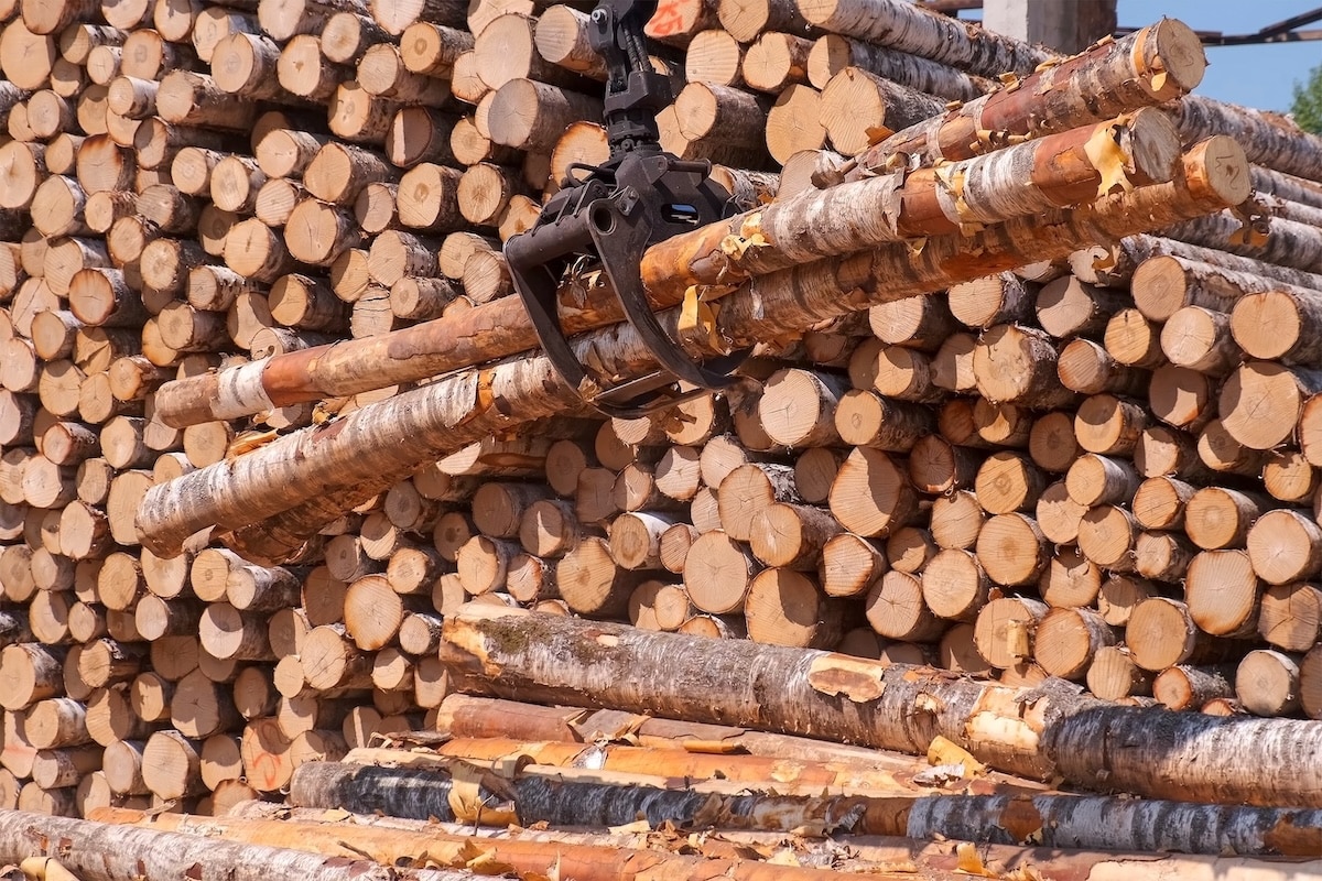Pourquoi le bois français est un modèle de gestion souveraine