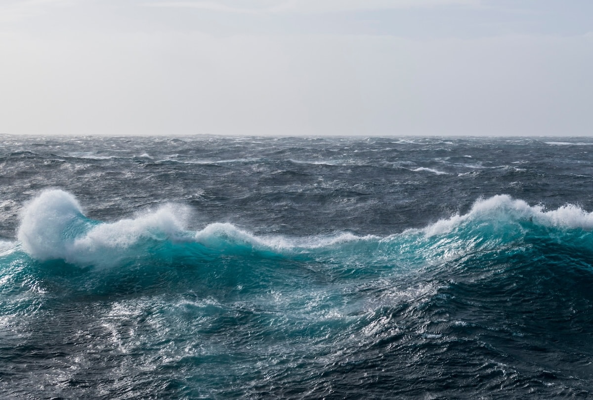 Dans la rade de Brest, la nageoire qui défie les géants du fret mondial