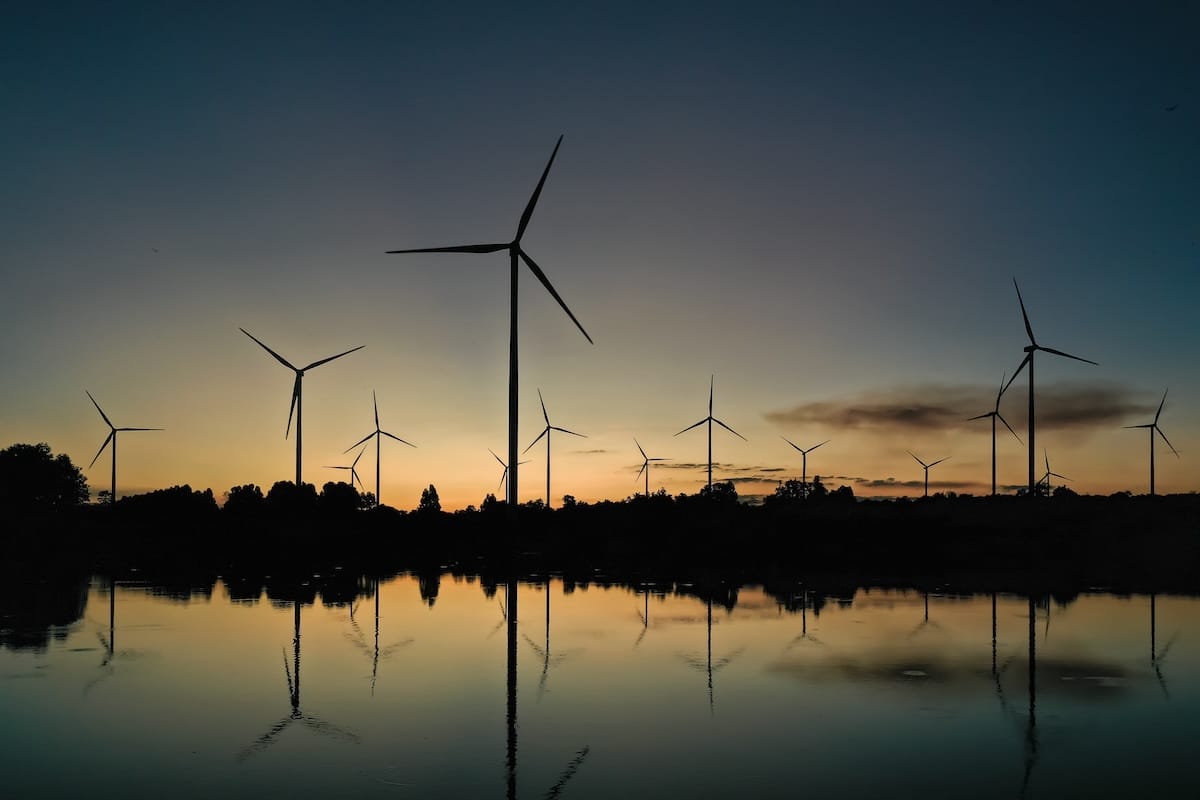 Le crime organisé fait main basse sur les milliards de la transition écologique